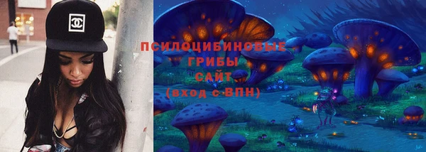 шишки Ростов