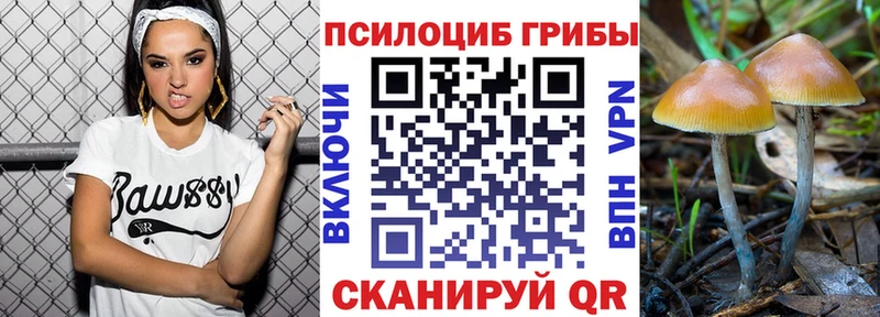 Купить  Дзержинск  Галлюциногенные грибы Magic Shrooms 